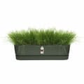 Miniatyrbilde 3 av 6: Planter Elho   50 cm Svart Plast