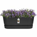 Miniatyrbilde 3 av 6: Planter Elho   Svart 50 cm Plast Oval