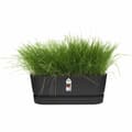 Miniatyrbilde 4 av 6: Planter Elho   Svart 50 cm Plast Oval