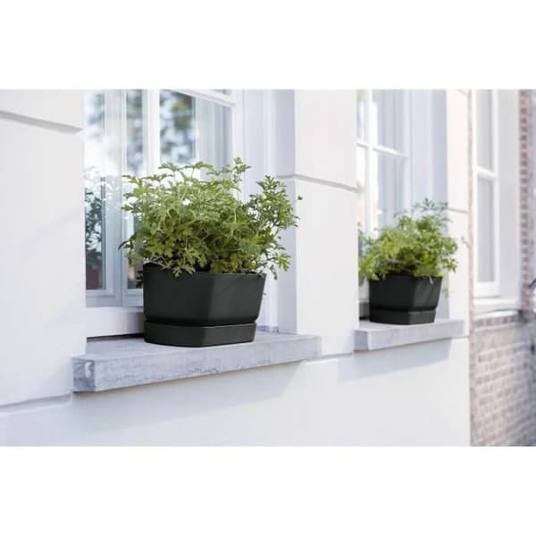 Planter Elho Svart 50 cm Plast Oval