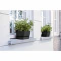 Miniatyrbilde 5 av 6: Planter Elho   Svart 50 cm Plast Oval