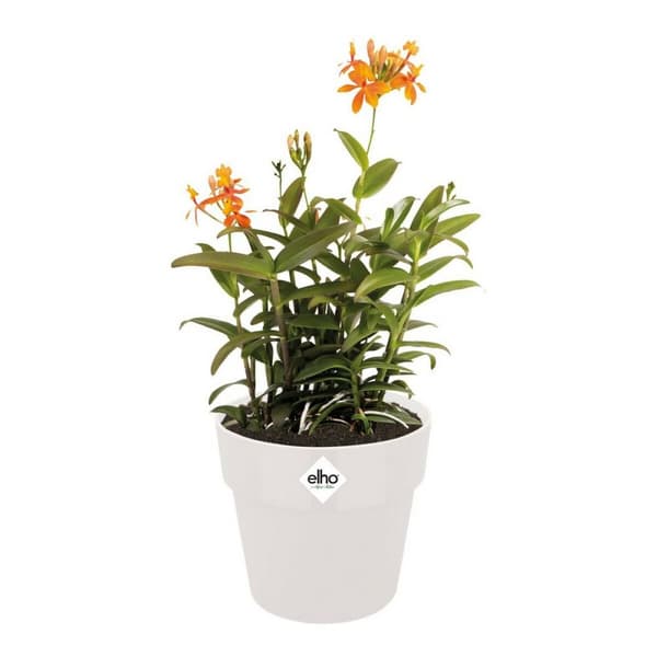 Dekorative Pongponger Elho Hvit Plast Sirkulær Ø 35 cm Ø 35 x 32 cm