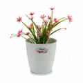 Miniatyrbilde 3 av 3: Planter Stefanplast Hvit Plast 19 x 17,5 x 19 cm (12 enheter)