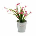 Miniatyrbilde 3 av 3: Planter Stefanplast Hvit Plast 14 x 13 x 14 cm (12 enheter)