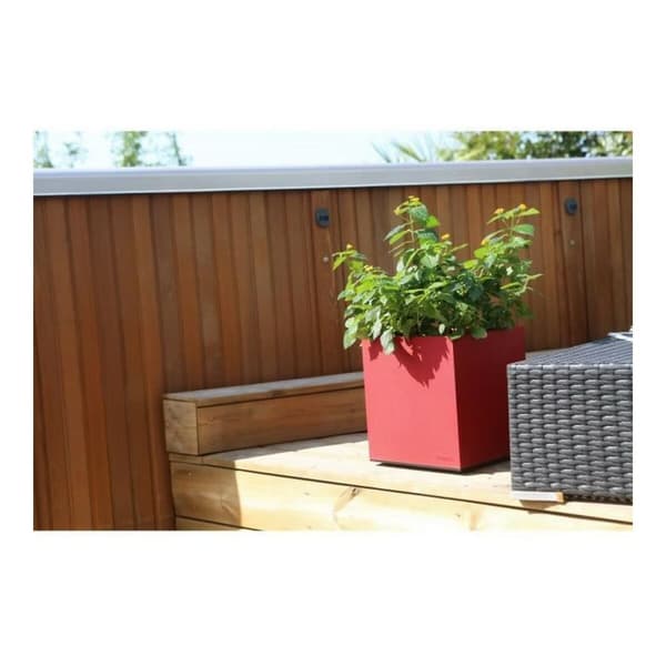Dekorative Pongponger Riviera Rød Plast Kvadrat 40 x 40 cm