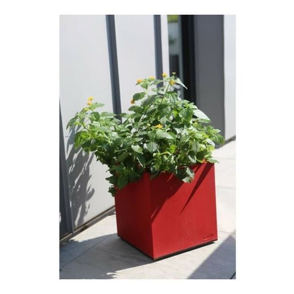 Dekorative Pongponger Riviera Rød Plast Kvadrat 40 x 40 cm