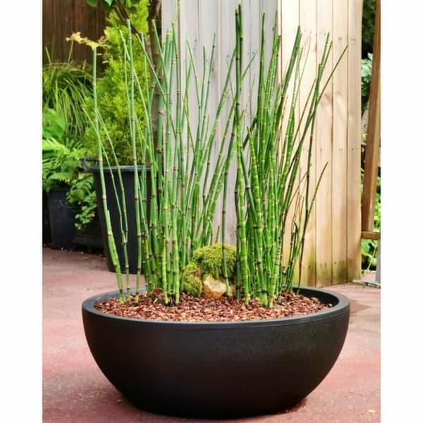 Dekorative Pongponger Riviera RIVIERA Svart Ø 40 cm