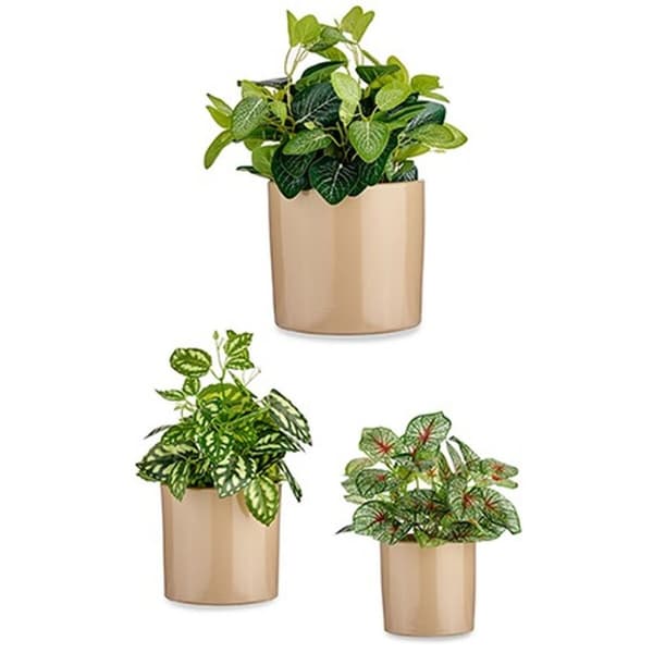 Grytesett Ibergarden CILINDRO-1019 Beige Leire Sylinder Ø 14 cm Ø 22 cm Ø 17 cm 3 Deler