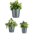 Miniatyrbilde 2 av 2: Grytesett Ibergarden CONICO-7011 Antrasitt Leire Cónica Ø 14 cm Ø 22 cm Ø 17 cm 3 Deler