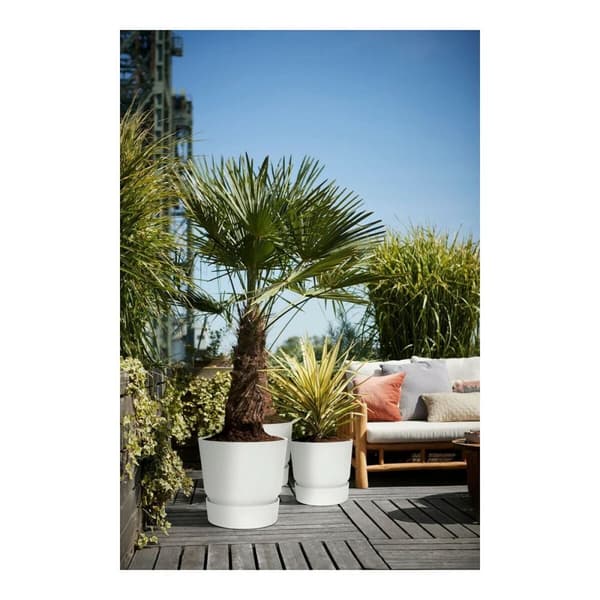 Dekorative Pongponger Elho 0464344715000 Hvit Sirkulær