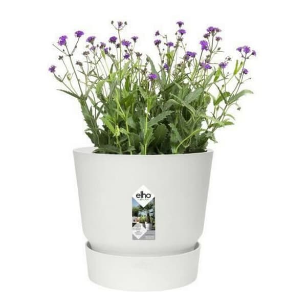 Dekorative Pongponger Elho 0464344715000 Hvit Sirkulær