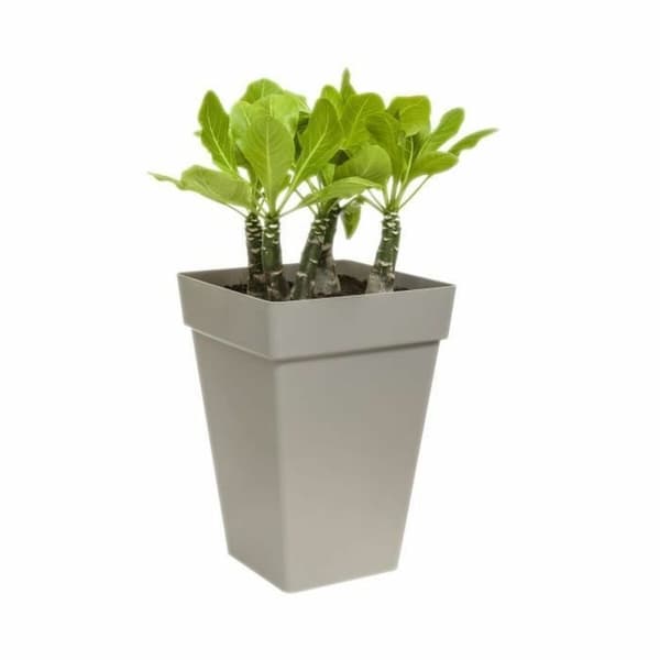 Dekorative Pongponger Elho Ø 29,5 cm Hvit polypropylen Plast Kvadrat Moderne