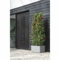 Miniatyrbilde 5 av 6: Dekorative Pongponger Elho 79 x 35 x 39 cm Plast Moderne