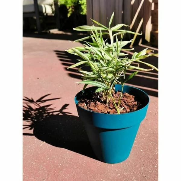 Dekorative Pongponger Riviera Blå Ø 55 cm