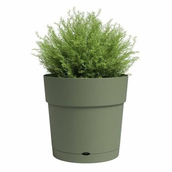 Dekorative Pongponger Artevasi 39,1 x 39,1 x 37 cm Plast Sirkulær
