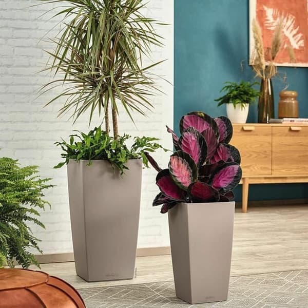 Selvvannende blomsterpotte Lechuza Sand 39,5 x 39,5 x 75,5 cm