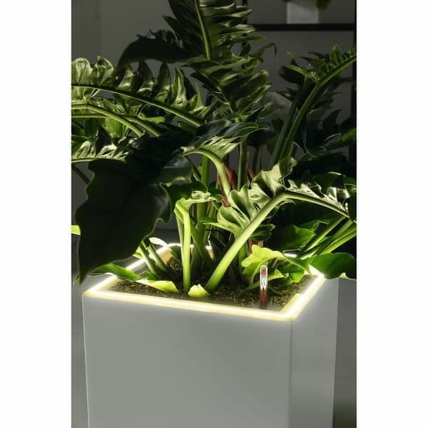 Dekorative Pongponger Lechuza 40 x 40 x 40 cm Svart (1 enheter)