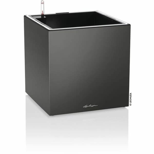 Dekorative Pongponger Lechuza 40 x 40 x 40 cm Svart (1 enheter)