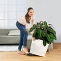 Miniatyrbilde 3 av 5: Selvvannende blomsterpotte Lechuza Brun 50 x 50 cm polypropylen Plast