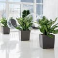 Miniatyrbilde 4 av 5: Selvvannende blomsterpotte Lechuza Brun 50 x 50 cm polypropylen Plast