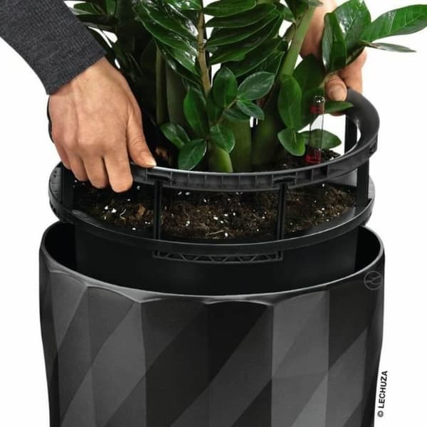 Dekorative Pongponger Lechuza Grå Plast (1 enheter)