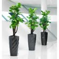 Miniatyrbilde 2 av 5: Dekorative Pongponger Lechuza Grå Plast (1 enheter)