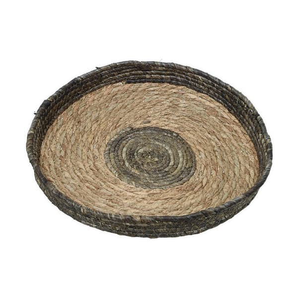 Kasvit Ruskea Paolownia wood