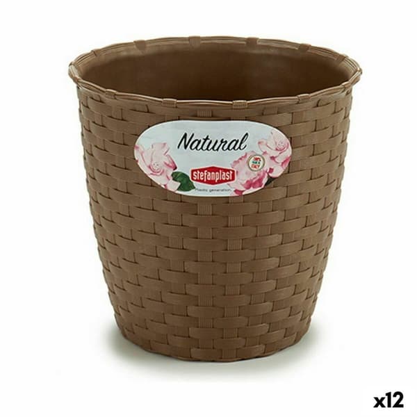 Kasvit Stefanplast Ruskea Muovinen 14 x 13 x 14 cm (12 osaa)