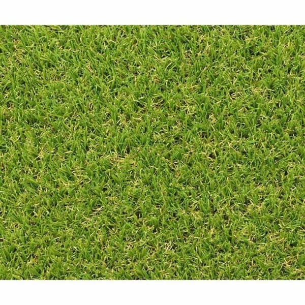 Kunstgræs Exelgreen Campus 2D 1 x 5 m 25 mm