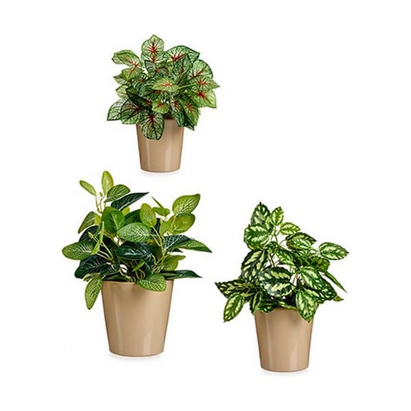 Ruukkusetti Ibergarden LINCE PQ - TOPO Beige Savi (6 osaa)