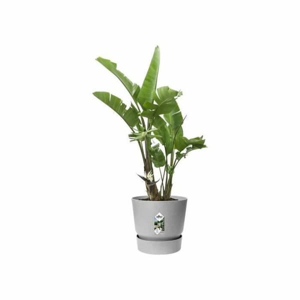 Kukkaruukku Elho Harmaa Muovinen Pyöreä Moderni Ø 47 cm