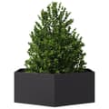 Miniatyrbilde 4 av 11: vidaXL Plantekasse svart sekskantet 138x120x45 cm stål