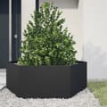 Miniatyrbilde 2 av 11: vidaXL Plantekasse svart sekskantet 138x120x45 cm stål
