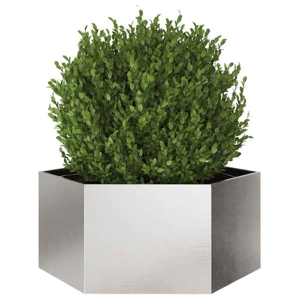 vidaXL Plantekasse sekskantet 104x90x45 cm rustfritt stål