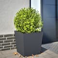Miniatyrbilde 2 av 11: vidaXL Plantekasse antrasitt 50x50x50 cm cortenstål