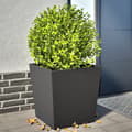 Miniatyrbillede 2 af 11: vidaXL plantekrukker 2 stk. 50x50x50 cm stål sort