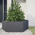 Miniatyrbilde 2 av 11: vidaXL Plantekasse antrasitt sekskantet 138x120x45 cm stål