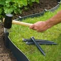 Miniatyrbilde 2 av 4: Stake Nature 6040638