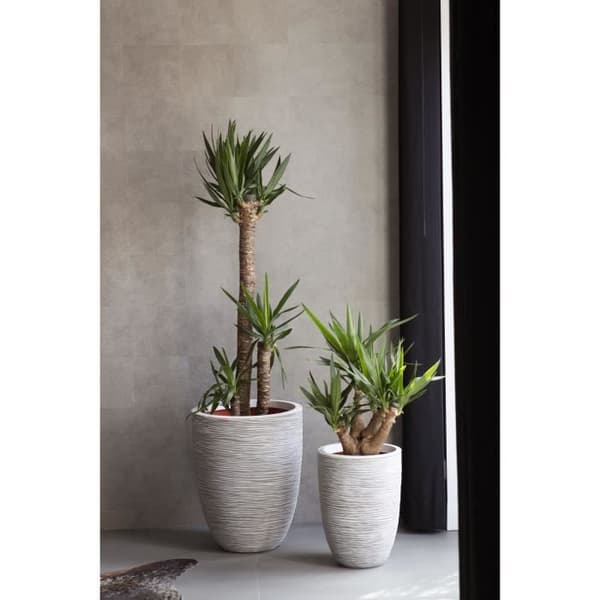 Capi Blomkruka Natur Ribb 36 x 47 cm Elfenben KOFI782 424227