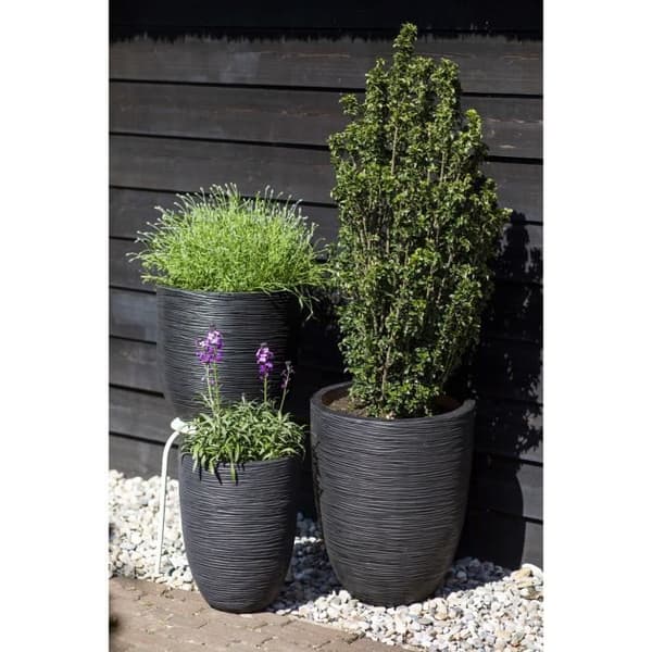 Låg elegant vas - CAPI EUROPE - RIB NL - 34 x 46 cm - Svart