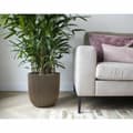Miniatyrbilde 3 av 5: Planter Capi Europe Gyllen Plast Rektangulær Ø 35 cm