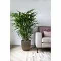 Miniatyrbilde 4 av 5: Planter Capi Europe Gyllen Plast Rektangulær Ø 35 cm