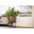 Miniatyrbilde 5 av 5: Planter Capi Europe Gyllen Plast Rektangulær Ø 35 cm
