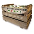 Miniatyrbild 1 av 3: Odling Set aGreen Vintage 50 x 35 x 30 cm 10 kg