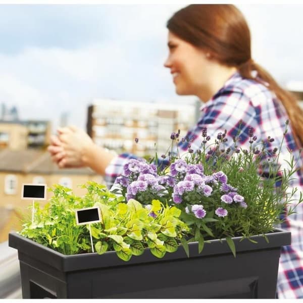 Stödpinne för plantering EDA Grå 73 x 38,5 x 68 cm Grönsaker odlingsbord