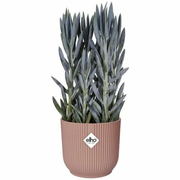 Kruka Elho Rosa Plast Rund Modern Ø 25 cm