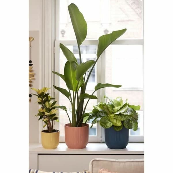 Kruka Elho Rosa Plast Rund Modern Ø 25 cm