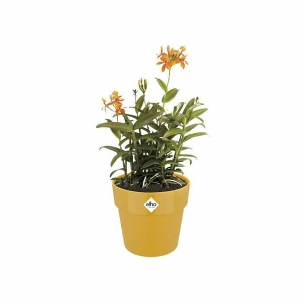 Kruka Elho 9262302511800 Ockra Plast Rund Ø 24,7 x 23,2 cm
