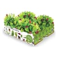 Miniatyrbild 1 av 2: Odling Set Batlle Baby Leaves Sallader 40 x 29 x 10,5 cm 2,6 Kg