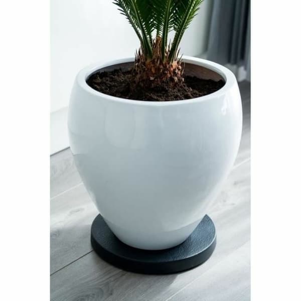 Støtte med hjul til potter Nature Sort polypropylen (Ø 29,2 x 4 cm)